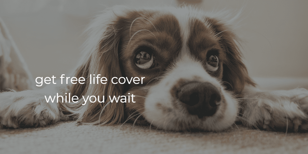 free life cover whole you wait