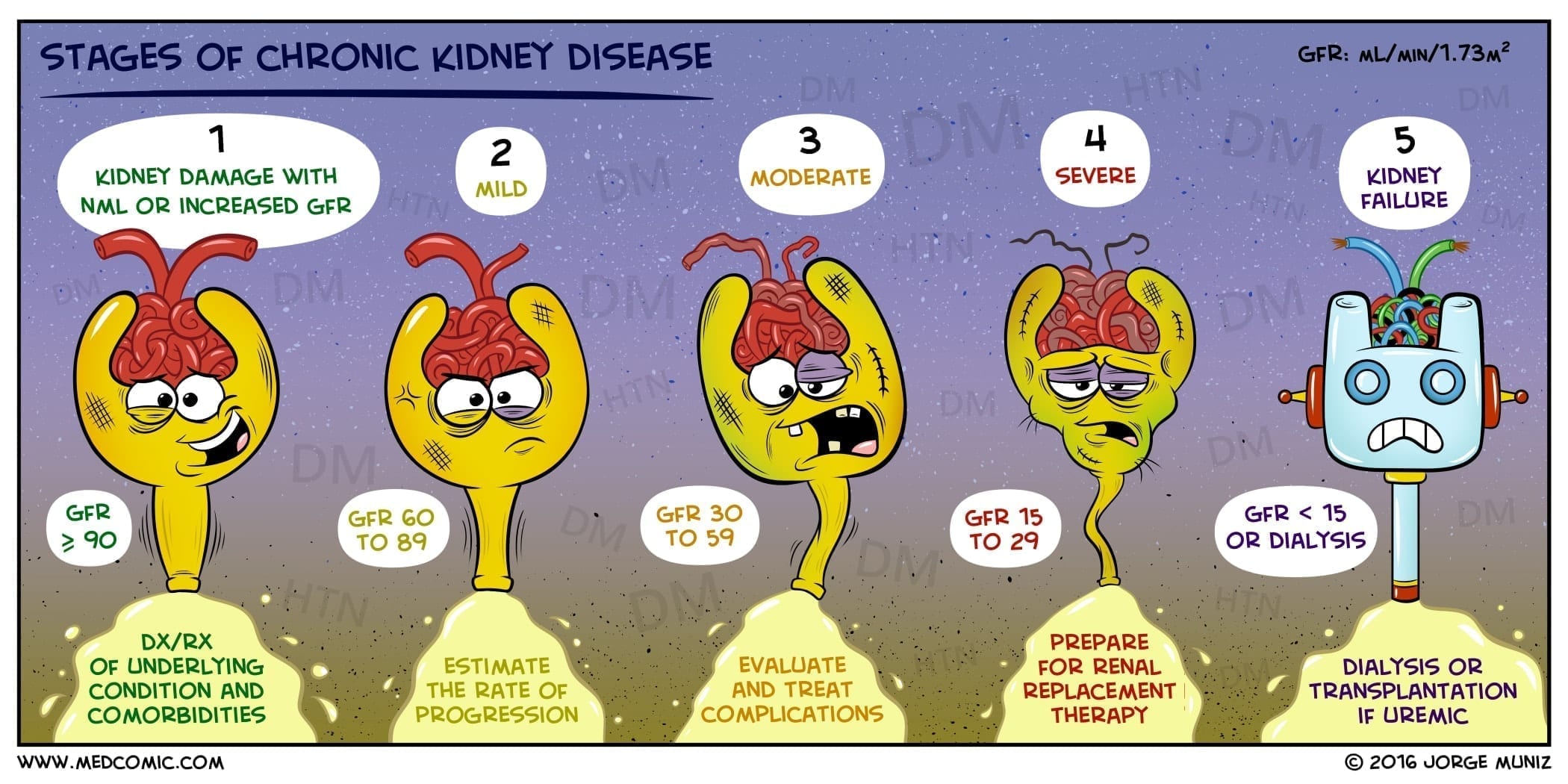 Stages-of-Chronic-Kidney-Disease