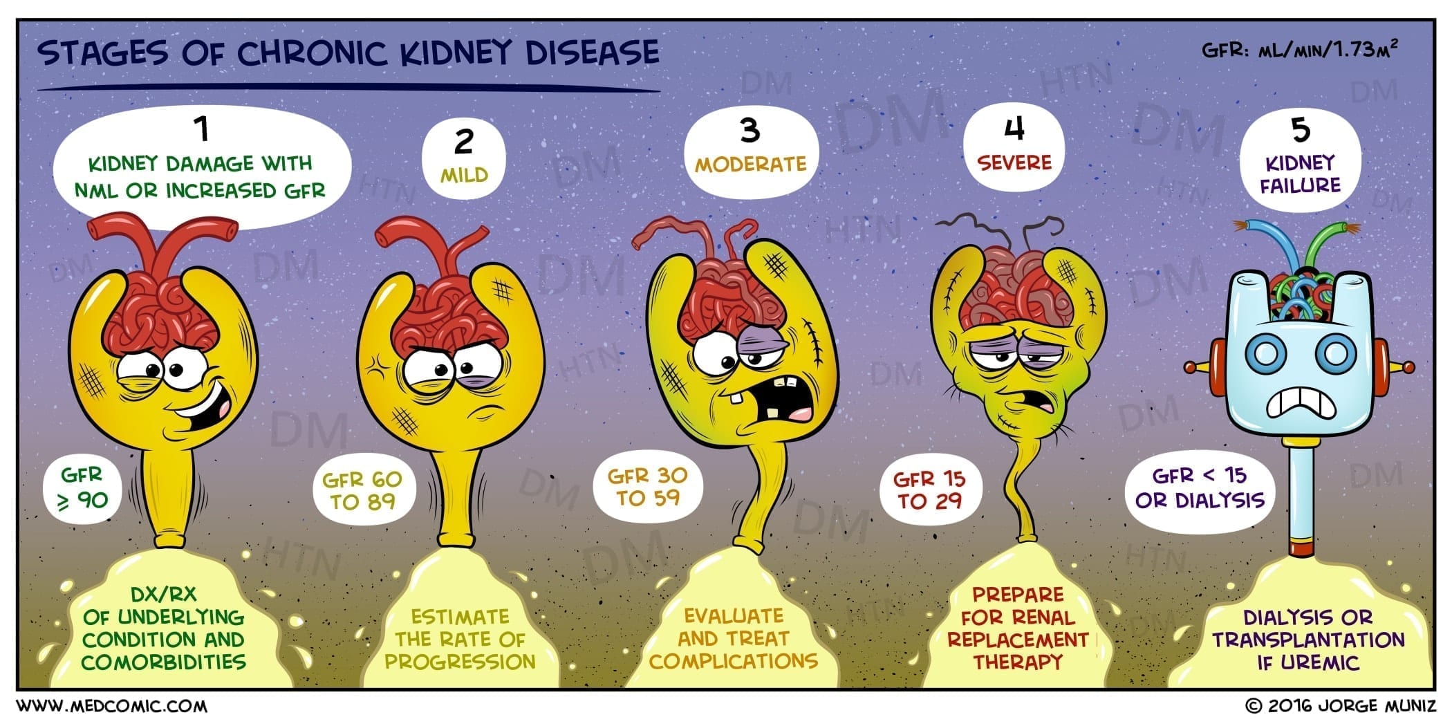 stages-of-chronic-kidney-disease-purivo-dialysis-center