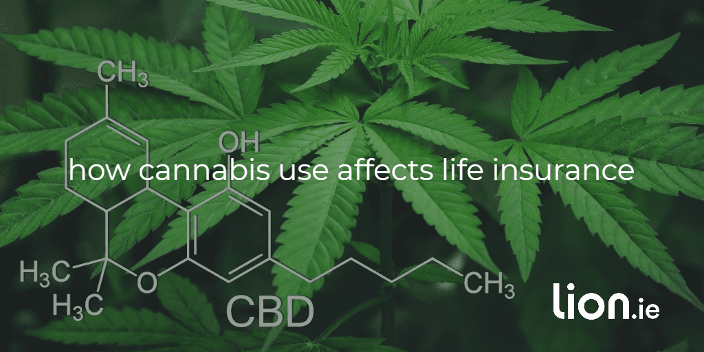 cannabis and life insurance