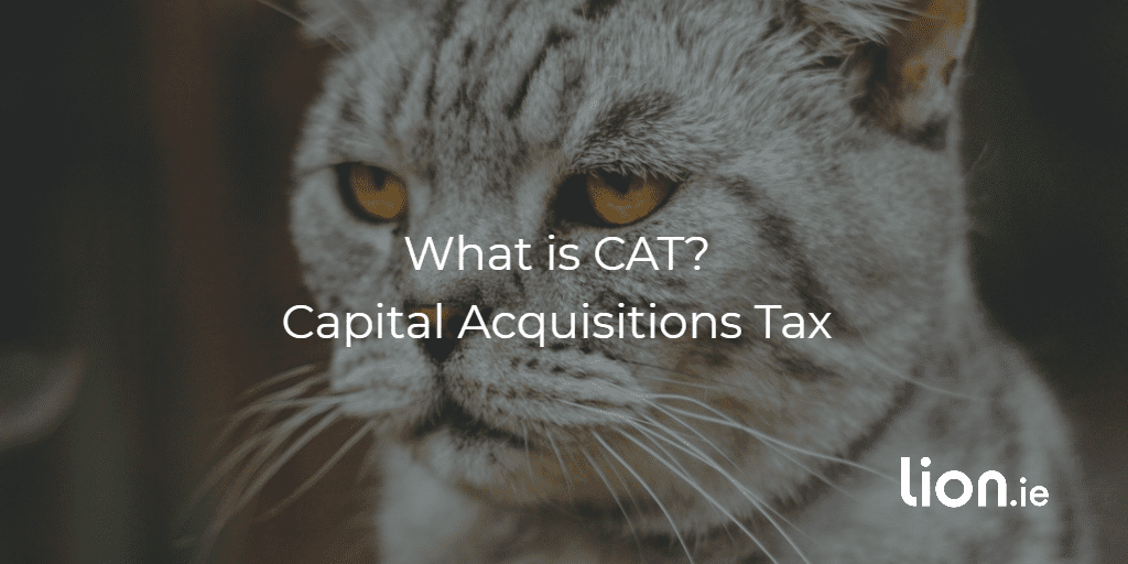 what is capital acquisitions tax text on image of cat