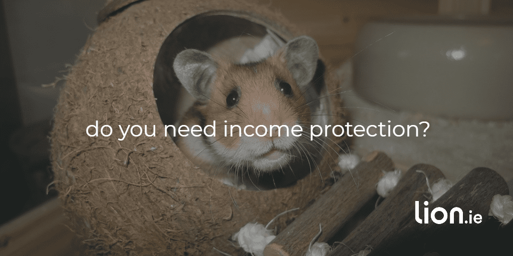 Do you need income protection?