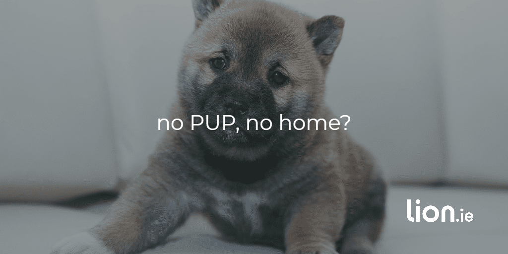 no PUP, no home