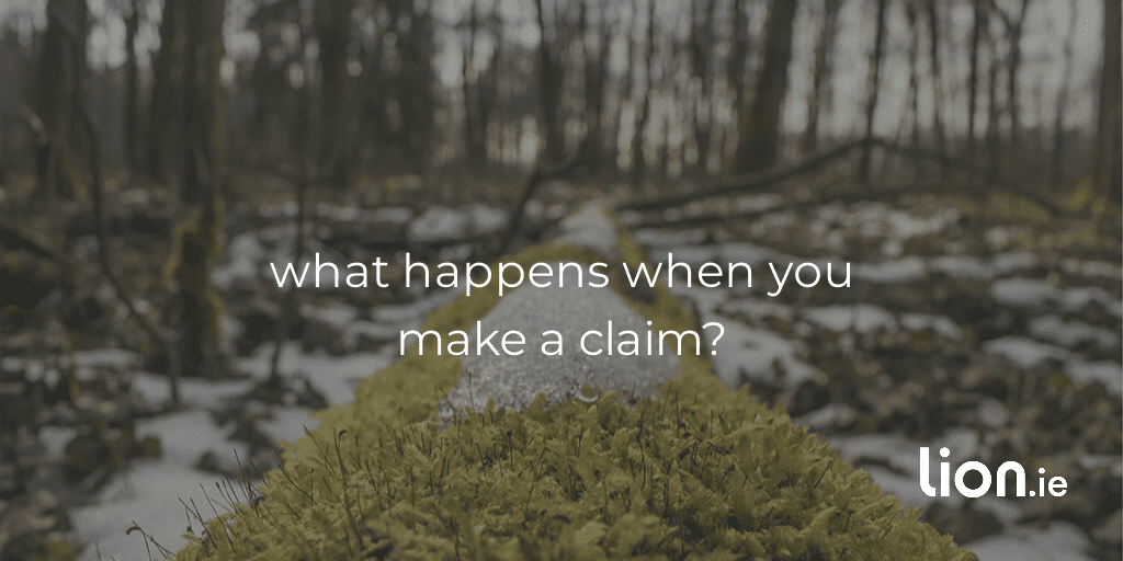 what happens when you make a claim