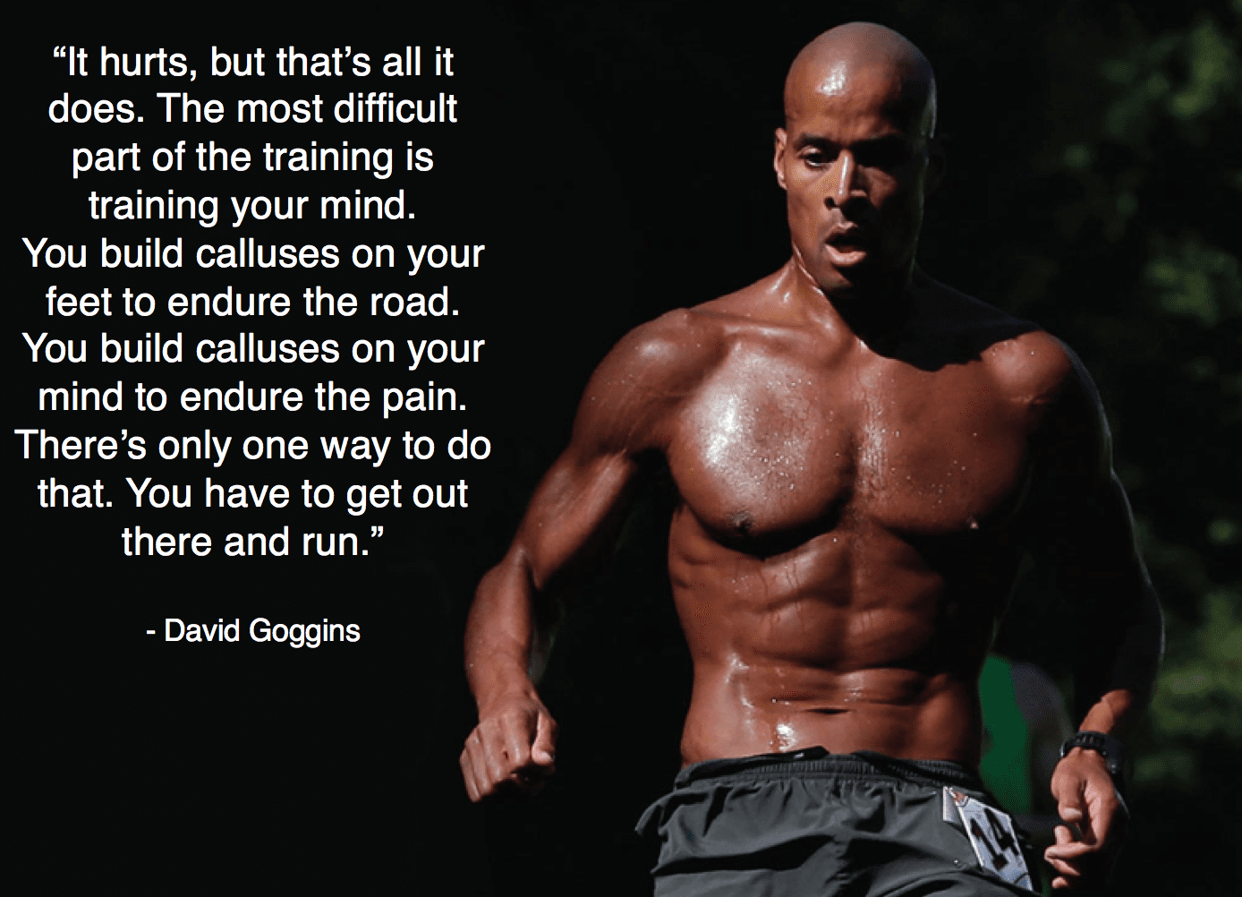 david goggins