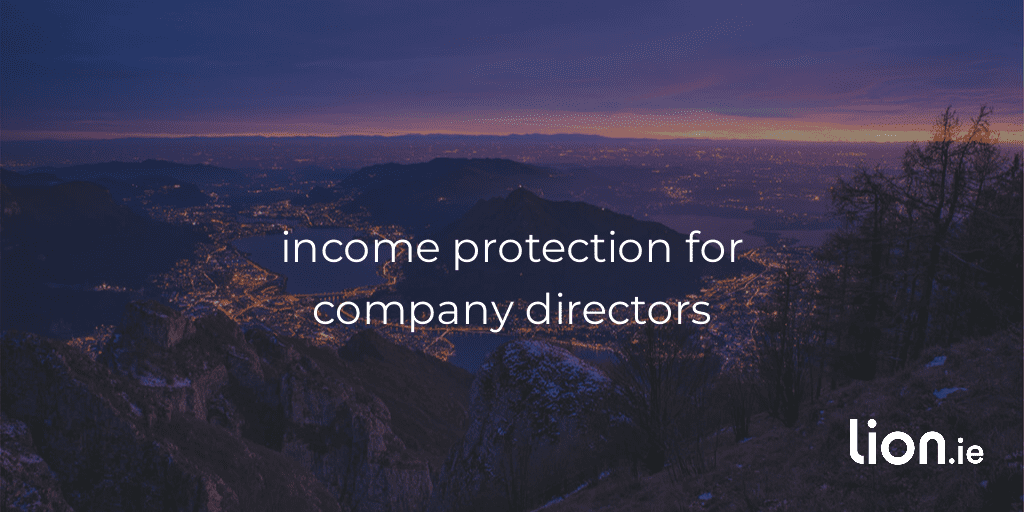 income rpoection for company directors
